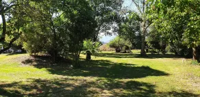 Peace and green charm - Image 4