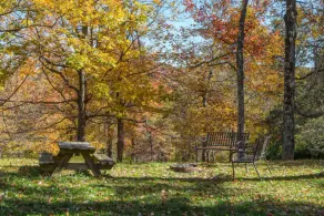 Blue Ridge Parkway cabin--2BR, hot tub, fireplace - Image 5