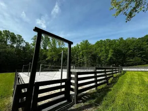 Couples Glamping Cabin-Lazy Bear at Valley Bear Farms Resort - Image 3