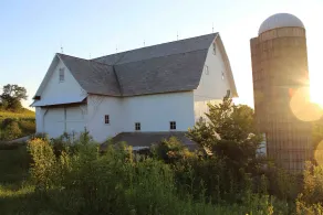 Ruhiges 1800sFarmhouse auf 230 Morgen Bauernhof, entspannen sich, jagen, erforschen. - Image 5