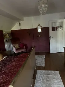 ¡Vacaciones solo con un perro! - Image 3