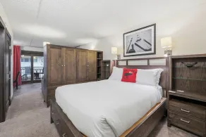 Dog Friendly Remodeled Vail Lionshead, LH Premium - Image 3