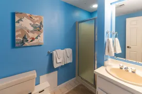 Wentworth Condo on Jackson’s XC ski trails, close to Attitash, Wildcat, Cranmore - Image 3