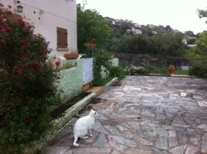 affitto di un piano villa - Image 4