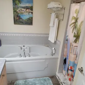 Beautiful 3 br 2 ba. Home on the Alafia River, 15 Min. from Tampa - Image 3