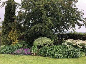 Pet friendly 'Home from Home in the Wye Valley Wales - Image 4