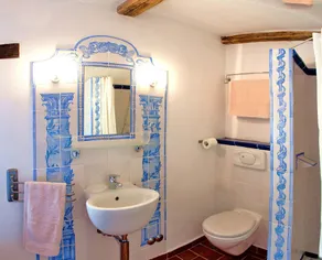 Historic farmhouse amidst Istrian vineyards - Image 3
