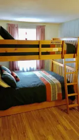 Seeseite mit Sauna / Whirlpool / Boot / Strand / Feuerstelle / Billardtisch in der Nähe von Kalahari & Ski - Image 4
