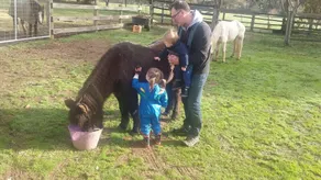 Cabin 2- Emerald Park - Image 3