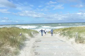 Baltic Sea wind at the edge of the forest - Image 5