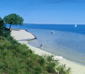 Hytte-stil hus langs Cazaux kanalen (15 min fra Arcachon) med privat ponton - Image 3