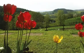 Appartamento: vacanza escursionistica nel Sauerland - Image 5