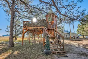 Tree Fort Escape - Image 2