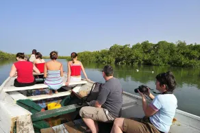 Ecolodge de Palmarin - Image 2