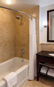 NEWLY RENOVATED 2bd at the Palm beach Marriott Singer island beach resort - Image 5