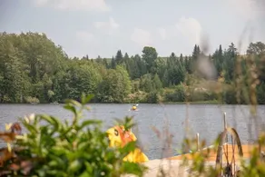 Edge of the St-François River - Spa - Dao - Image 3