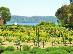 Lovely "Provence" villa with sea view, private heated pool, airco and beautiful garden - Image 4