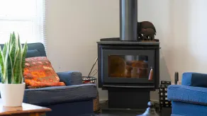 Surprise Surprise - Pet Friendly - Image 2