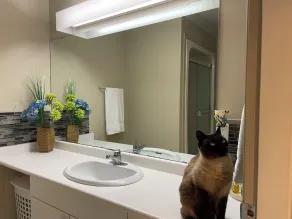 Executive 2 bedroom suite on a Private Estate - Pet Friendly - Image 5