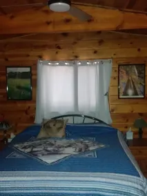 Hütte zu vermieten - Image 2