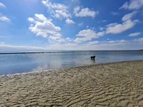 Maison de vacances à Scherpenisse près de la mer - Image 3