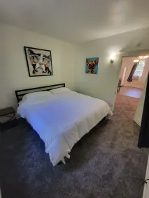 The Lakeside Micro Apartment - Image 5