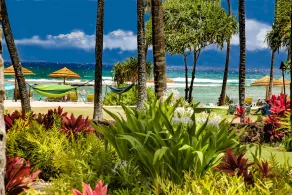 Ocean Villas at Turtle Bay - Image 5
