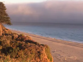 Seascape Garden Studio Minutes From Ocean Or Redwoods - Image 5