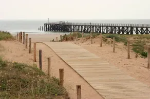 Between pine forest and ocean - Image 4