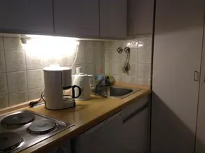 Lejlighed, 48 kvm, f. 1-4 pers., Stue / soveværelse, spisestue, soveværelse, køkken sep., Indendørs swimmingpool / sauna i. H. - Image 3