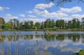 Ferienwohnung mit Blick auf den Glindower See - Image 4