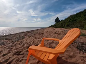 Vacation on 350 feet private beachfront - Image 5