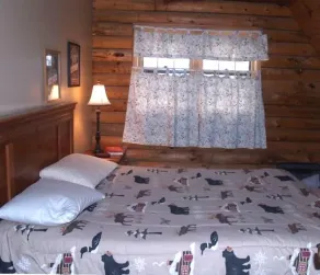 Log Cabin w HOT TUB in Mtn Community, On 1 acre, Less < 1 mile Okemo Main Base! - Image 4