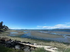 Waterfront sunset cabin - 2 bedrooms + sleeping loft - Image 3