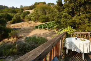 Studio cottage retreat in a vineyard setting - Image 5