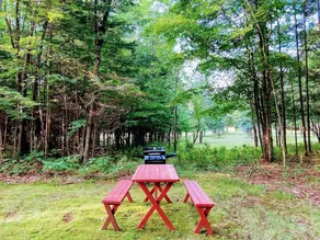 The Lorca Room 1, Indian Lake, Adirondacks - Image 4
