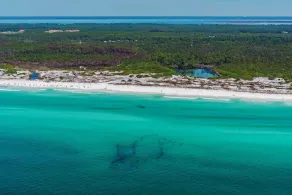 Sea Bluff 14 - Image 2