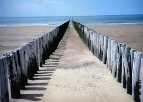 Luxury Villa near Noordzee - Image 5