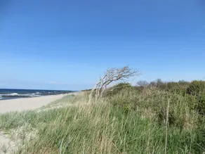 Appartamento trilocale fino a 4 pers. + 1 bambino fino a 7 anni - escl. App. Groyne, camino, Wi-Fi, 250 metri dalla spiaggia, Waschm. - Image 5
