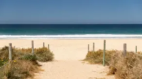 3 Melaleuca @ Boomerang Beach - Image 1