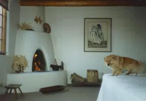 Smuk udsigt over bjergene, bjælkelofter, 2 pejse - Image 3