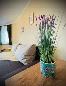 The Green Guest House, top location, perfect view - Image 4