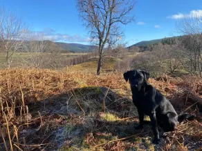 Mojón Leuchan, Glen Muick, Ballater - Image 3