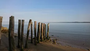 Stille hus tæt ved havet - Image 4