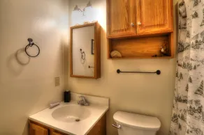 Saddleback - White Birch 74 - GREAT ski-in/out - Image 2