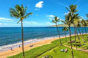 En Hawaiian Classic: \"Live Aloha Suite\" - Image 4