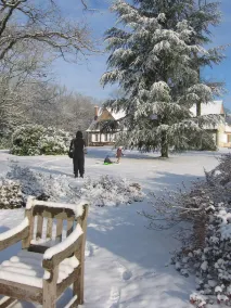 Charming estate in Sologne - Image 2