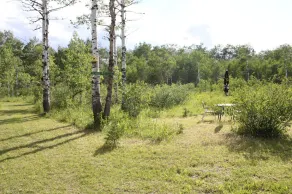 Micro-cabin nestled in secluded forest - Image 4