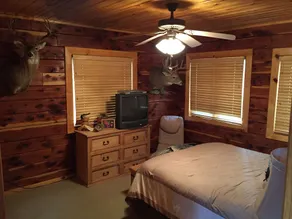 Beautiful Cedar Cabin Connection on Lake Hamilton - Image 5