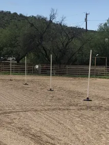 Horse Property Team Roping Capital of the World - Image 2